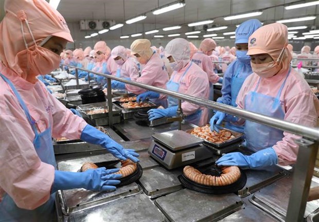 Allemagne - Vietnam un potentiel de coopération très important