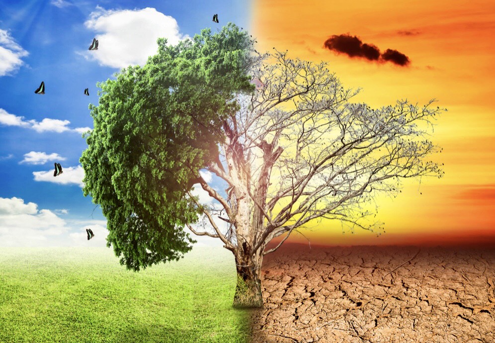«Agissons ensemble tôt pour se préparer aux catastrophes naturelles et au changement climatique»