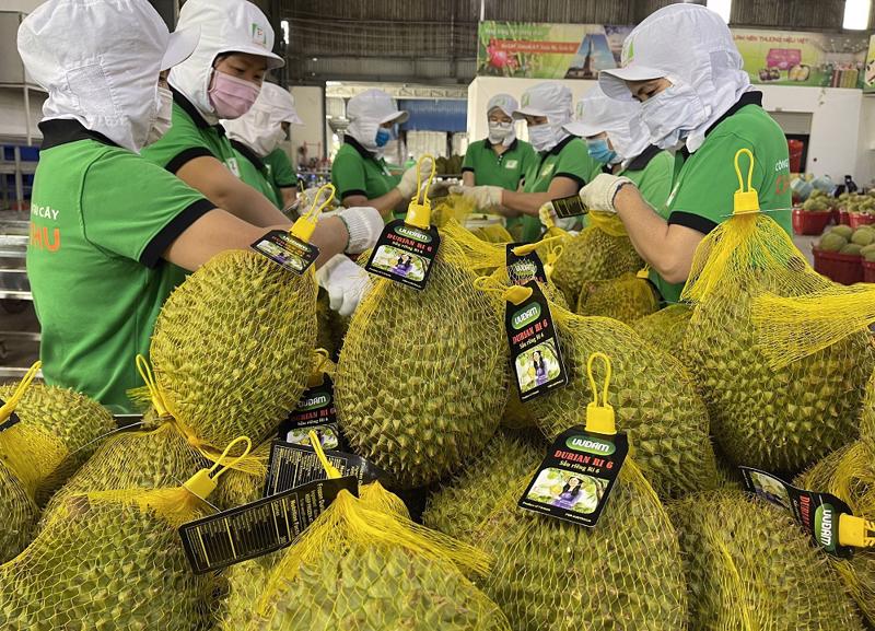 Fruits et légumes 3,2 milliards de dollars d exportations prévus en 2022