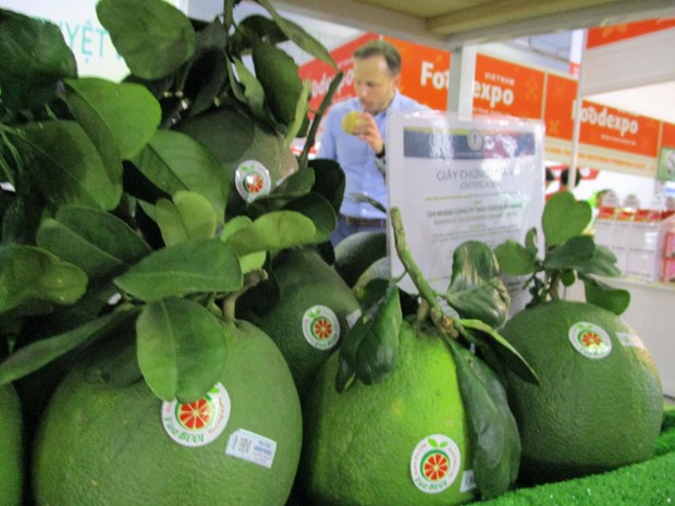 Le pomelo frais autorisé à être importé aux États-Unis