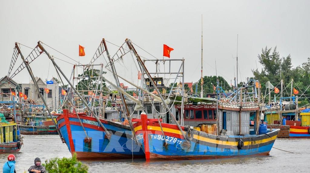 Pêche INN Thanh Hoa s efforce de supprimer le carton jaune de la CE
