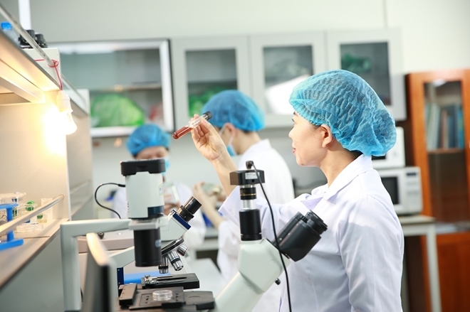 20 millions de dollars pour un centre de recherche sur les cellules souches à Da Nang