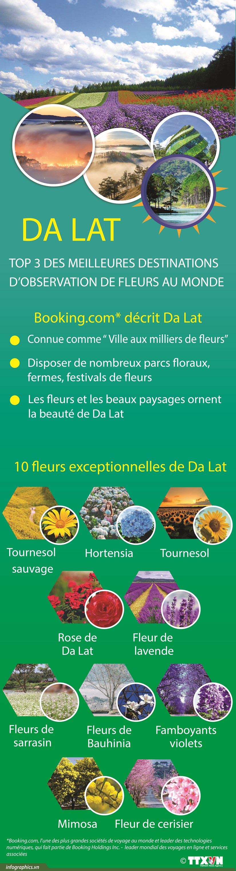 Da Lat, top 3 des meilleures destinations d observation de fleurs au monde