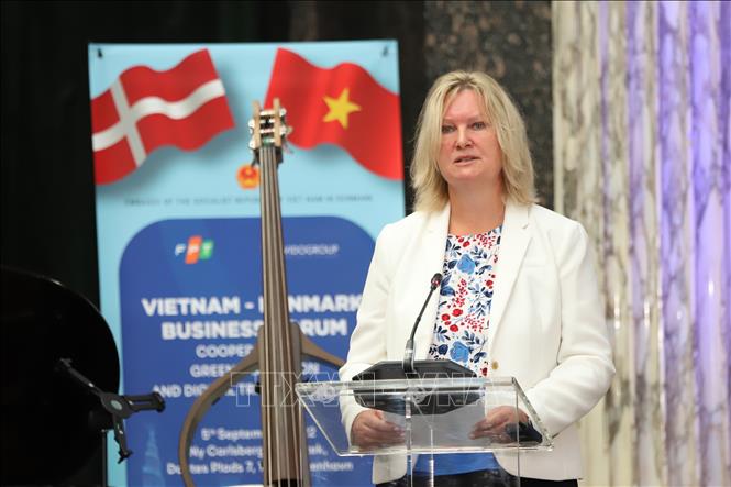 La visite au Vietnam du prince héritier Frederik de Danemark promouvra les relations bilatérales