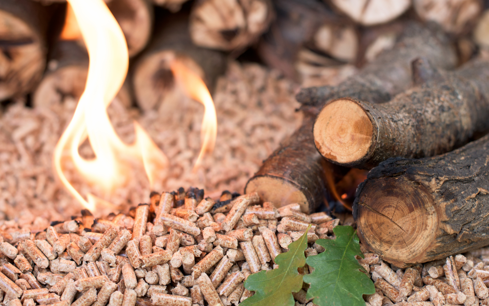 Les exportations de granulés de bois augmentent de 81 , le Vietnam se classant au 2e rang mondial