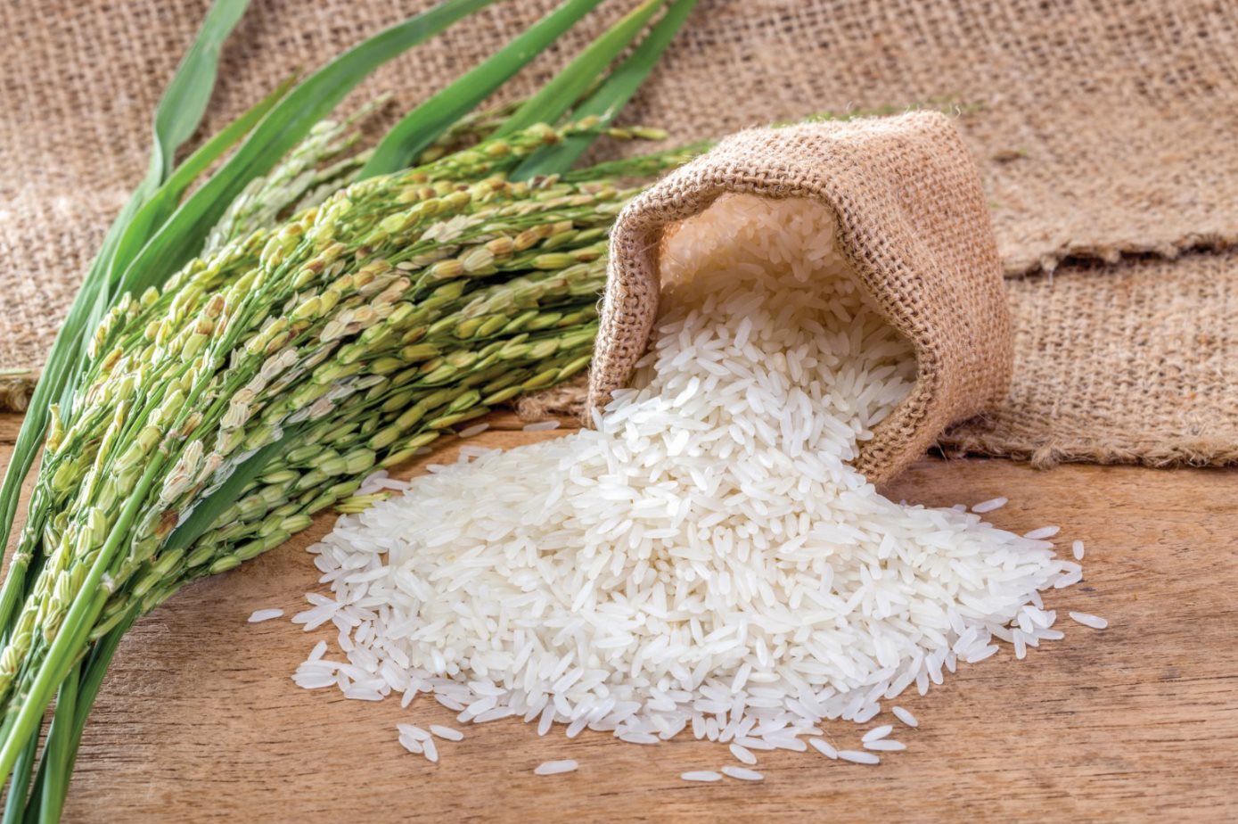 Plus de 6 millions de tonnes de riz exportées en dix mois