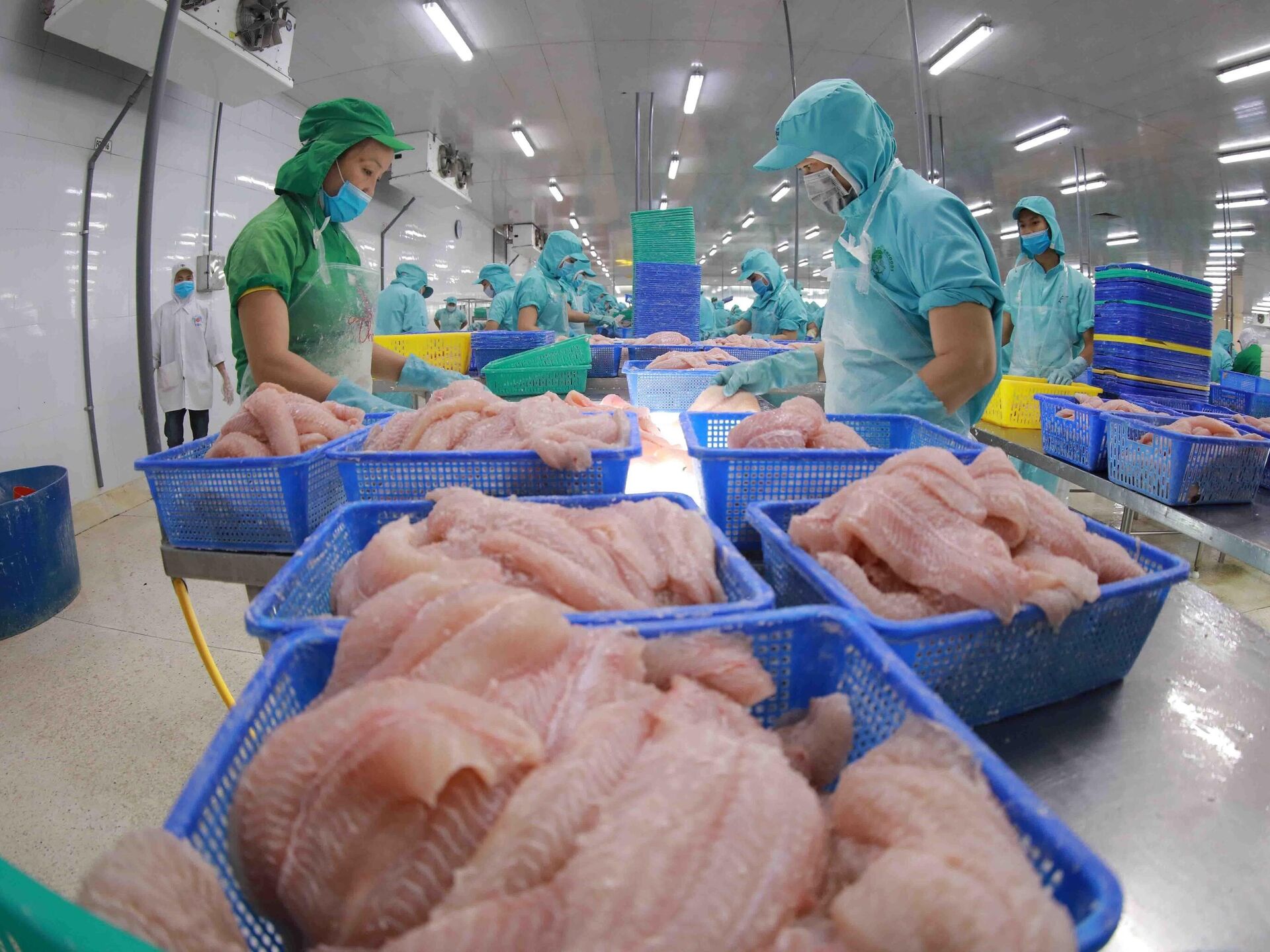 Les exportations de produits aquatiques vietnamiens devraient représenter plus de 7 des parts du marché mondial