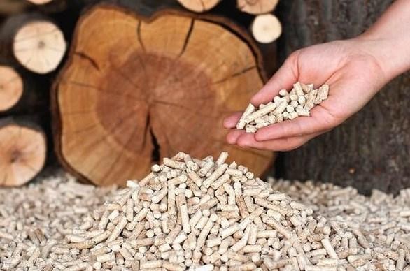 Les exportations de granulés de bois du Vietnam pourraient atteindre 1 milliard USD cette année