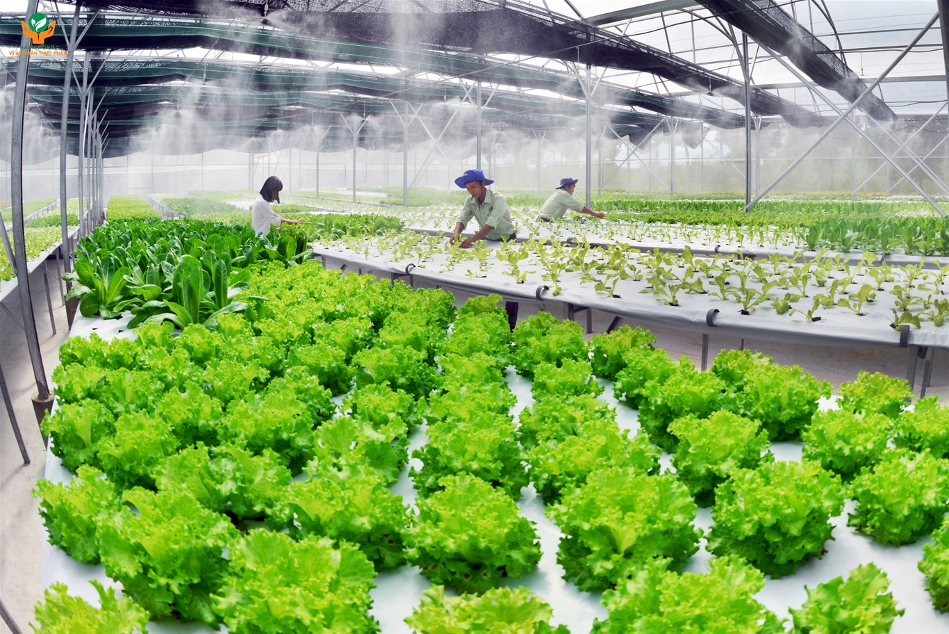 L’agriculture biologique high-tech améliore la qualité et réduit les coûts