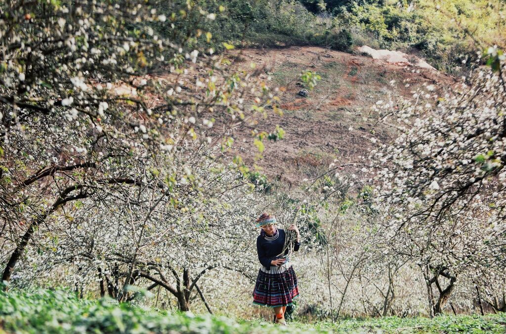 Môc Châu devient une destination nature de premier rang au monde
