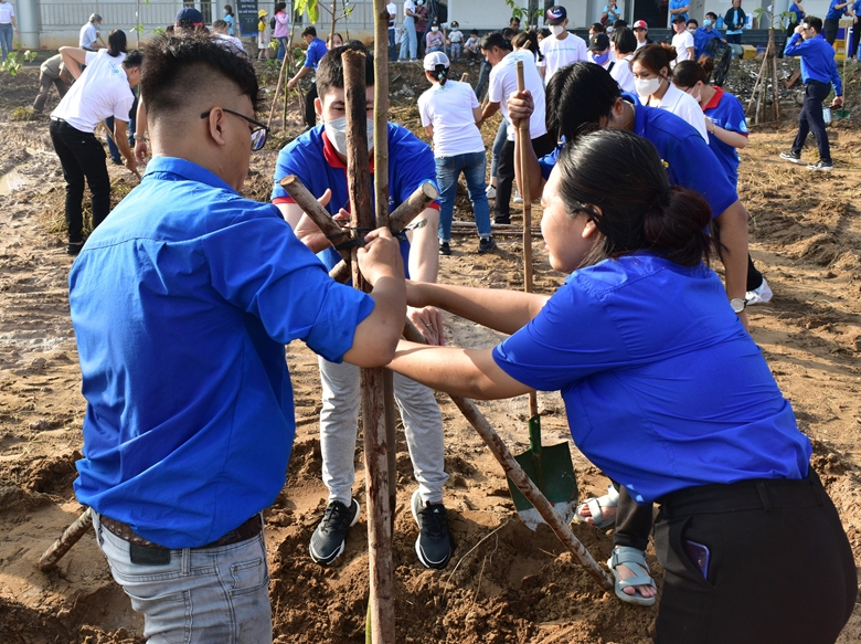 HCM-Ville annonce la plantation de 500 nouveaux arbres
