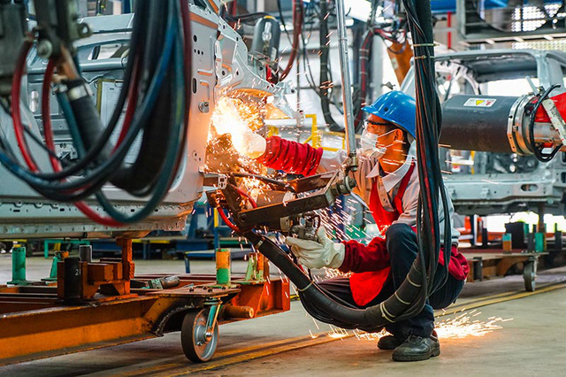 IDE le Vietnam demeure un point lumineux