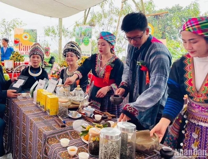 Yen Bai reçoit un certificat d indication géographique pour le thé de Suoi Giang Shan Tuyet