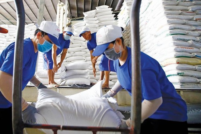 Les Philippines, 1er marché à l export du riz du Vietnam
