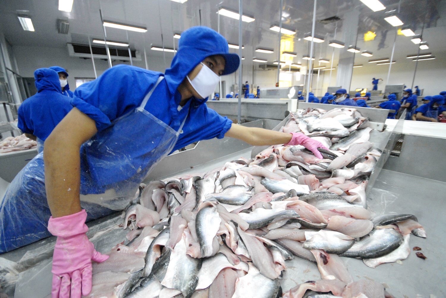 Les exportations des produits aquatiques dépassent les 10 milliards de dollars en 11 mois