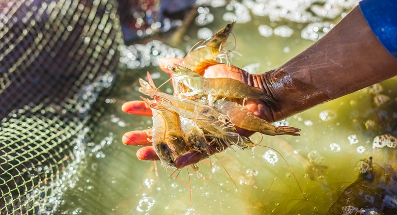 Les informations marquantes du 15 décembre