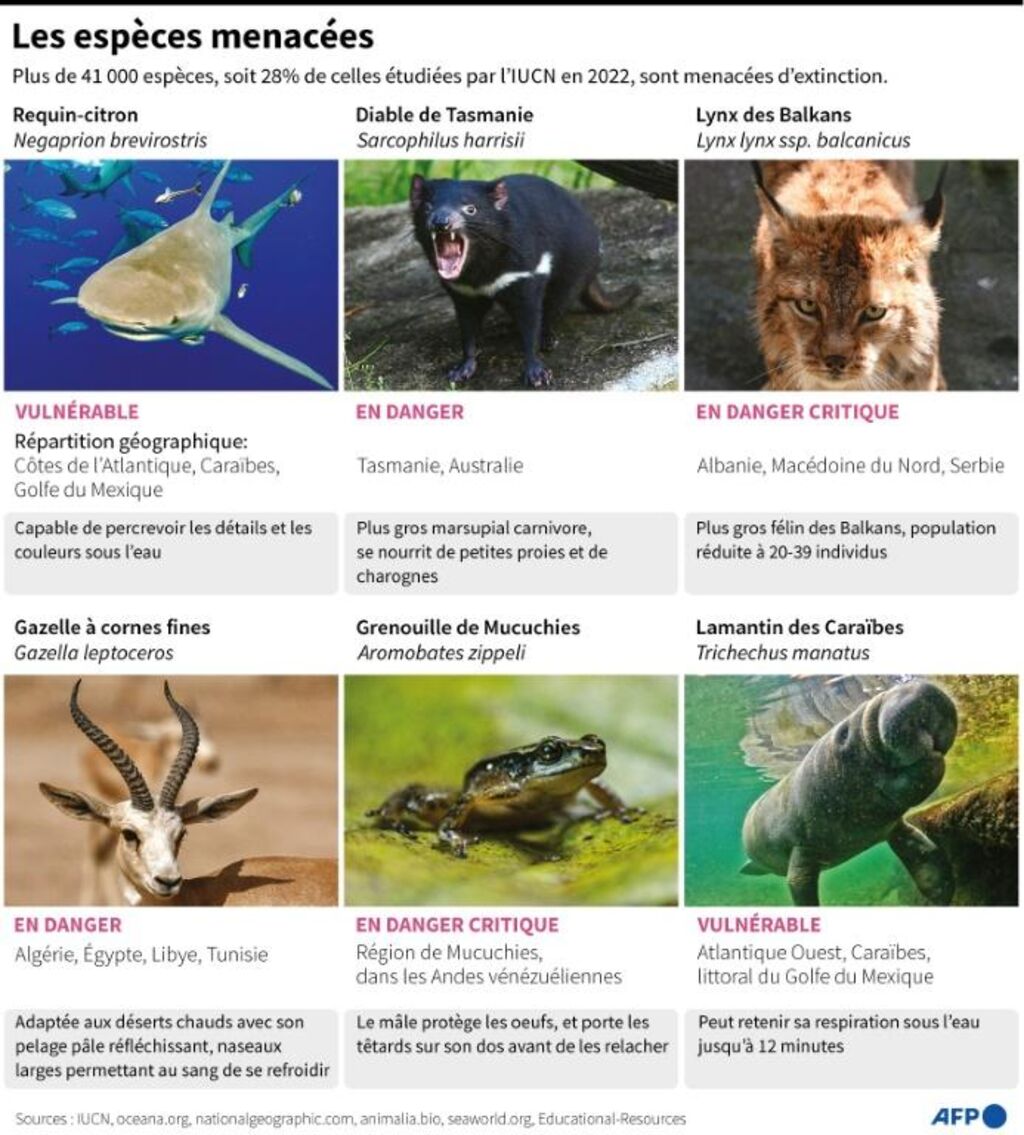 Le monde adopte un accord historique pour tenter de sauver la nature