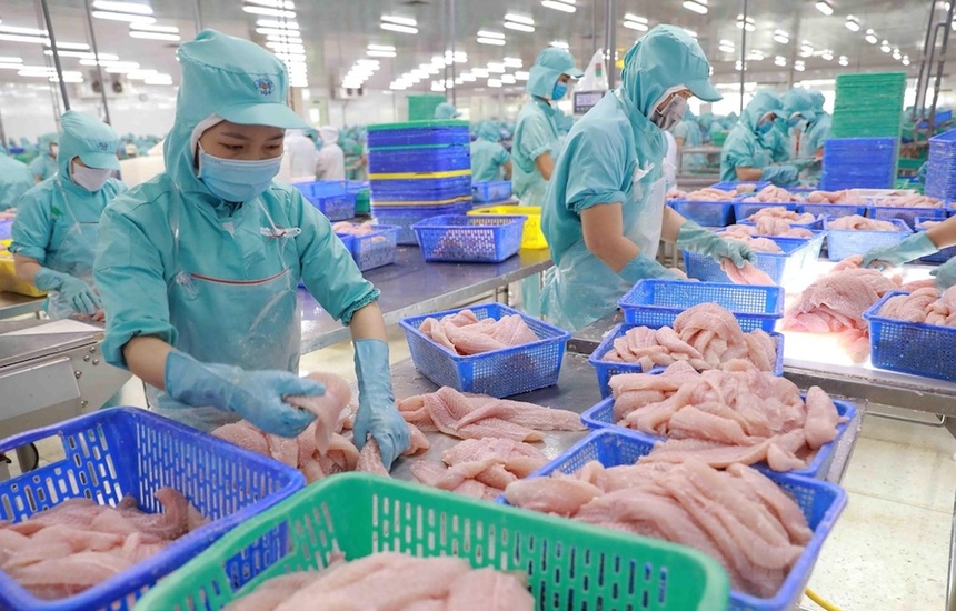 Les exportations de pangasius vers l’ASEAN en hausse de 87 en 11 mois