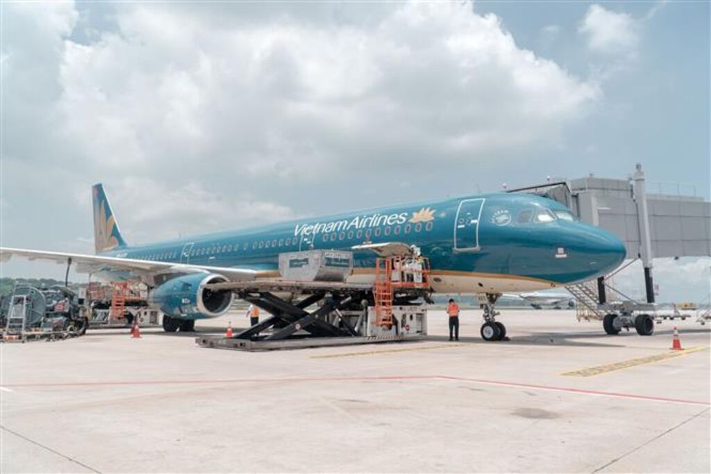Vietnam Airlines organisera des vols gratuits pour des travailleurs dans le Sud