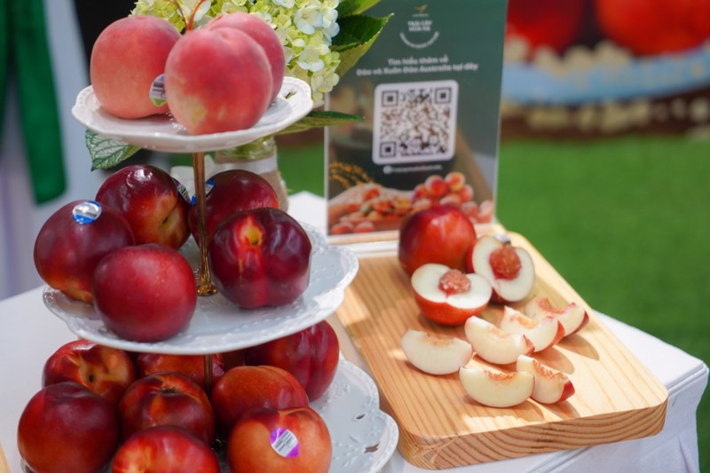 Le Vietnam, 7e importateur de produits agricoles, forestiers et aquatiques d’Australie