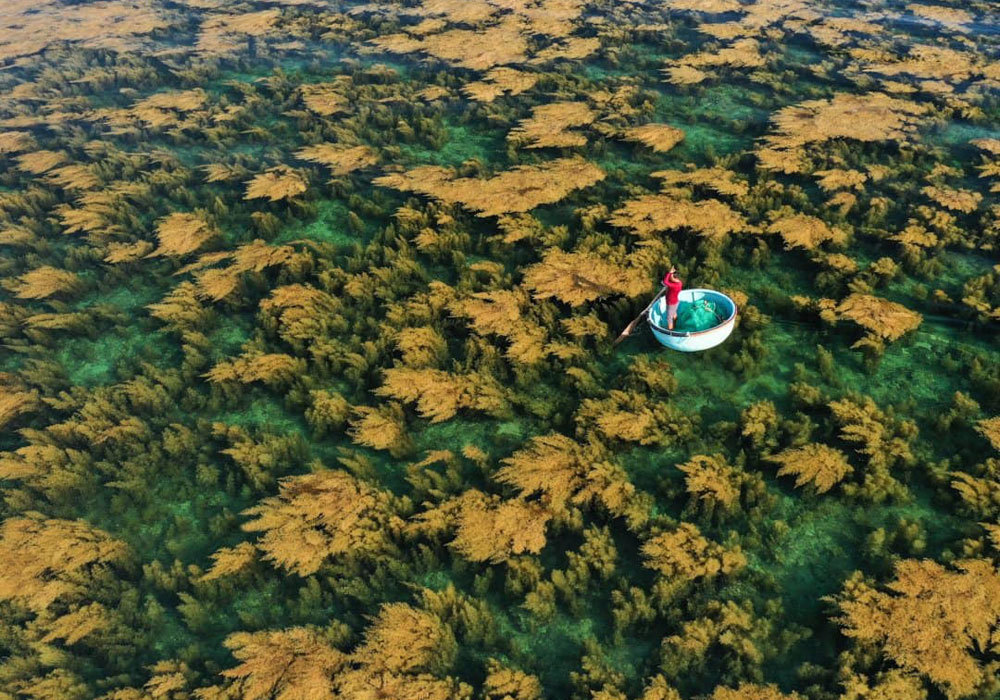 La beauté du Vietnam à travers des images du National Geographic