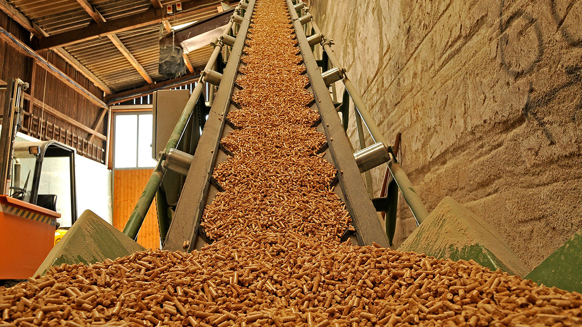 Une nouvelle usine de granulés de bois de 14,5 millions de dollars à Binh Dinh