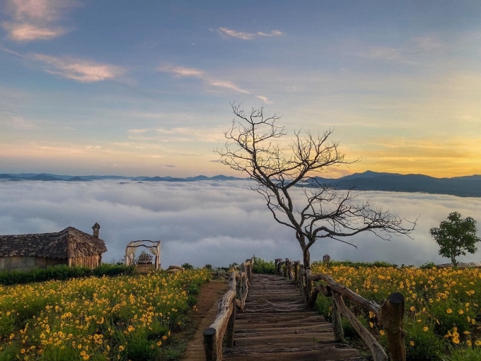 6 destinations pour les voyages du Nouvel An