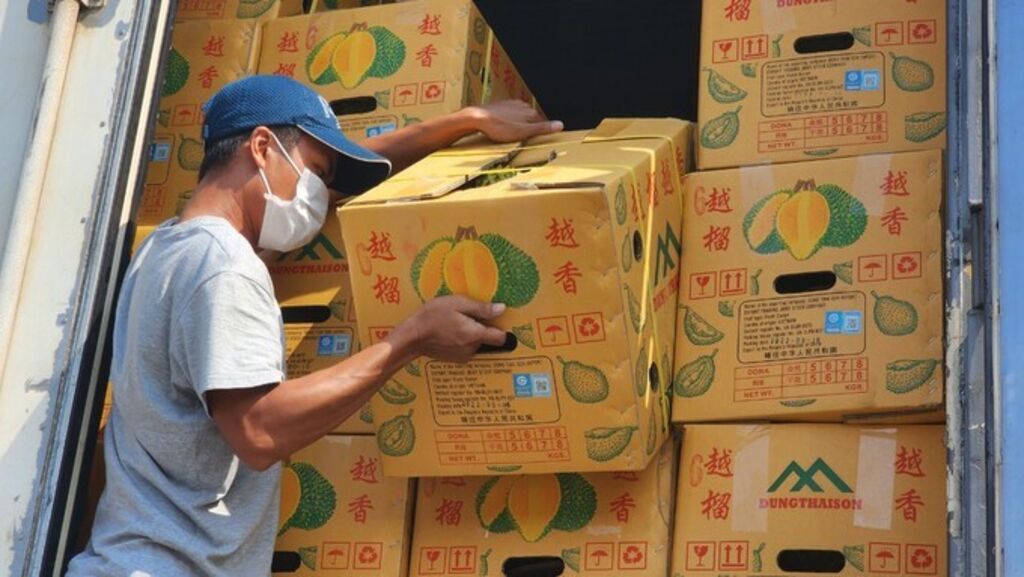 La Chine importe des durians vietnamiens