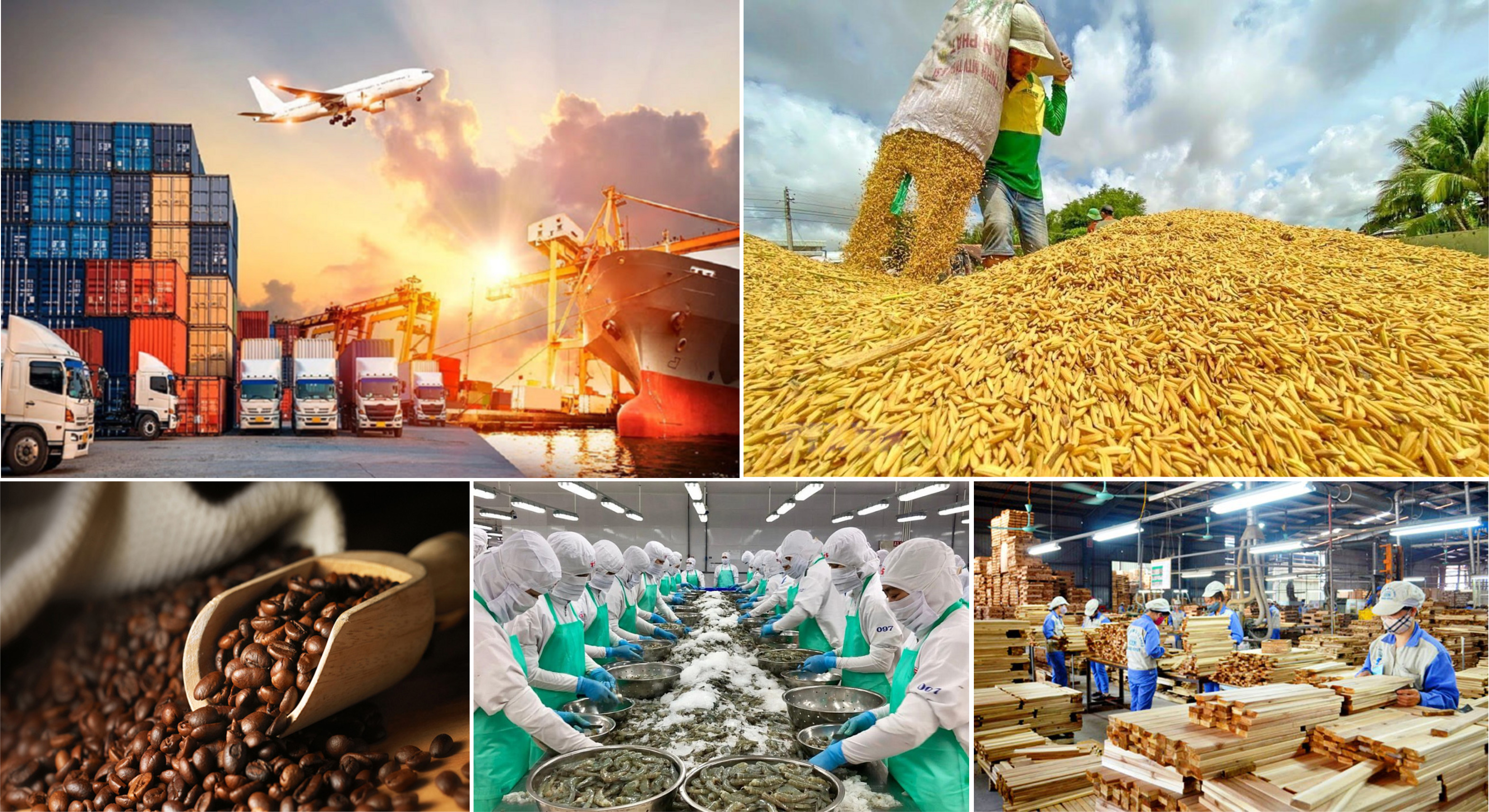 Les exportations agricoles, sylvicoles et aquatiques battent des records en 2022