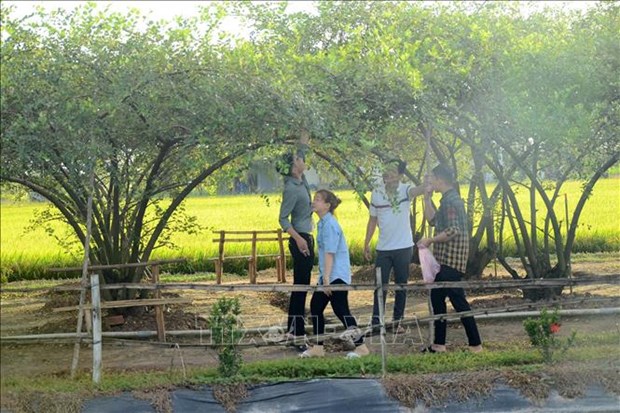 Tien Giang accueille plus de 38 000 touristes pendant le Têt