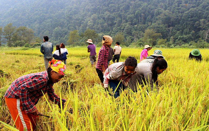 2023 le Vietnam se fixe l’objectif de réduire le taux de pauvreté d’entre 1 et 1,5