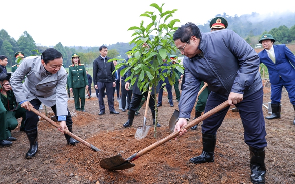 Le PM Pham Minh Chinh à la Fête de plantation d arbres du Printemps 2023 à Hanoï