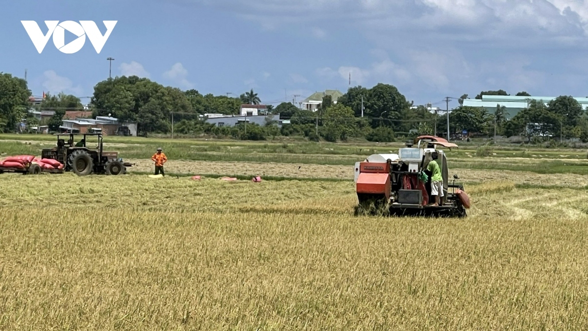 Environ 1 600 coopératives supplémentaires verront le jour cette année