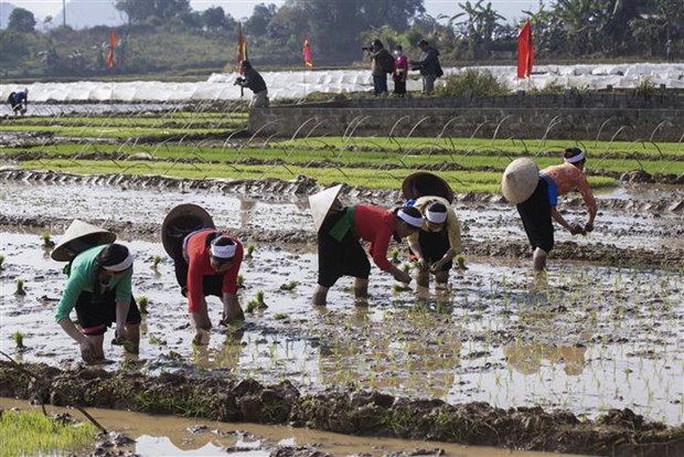 Hoa Binh les Muong célèbrent la fête Khai ha