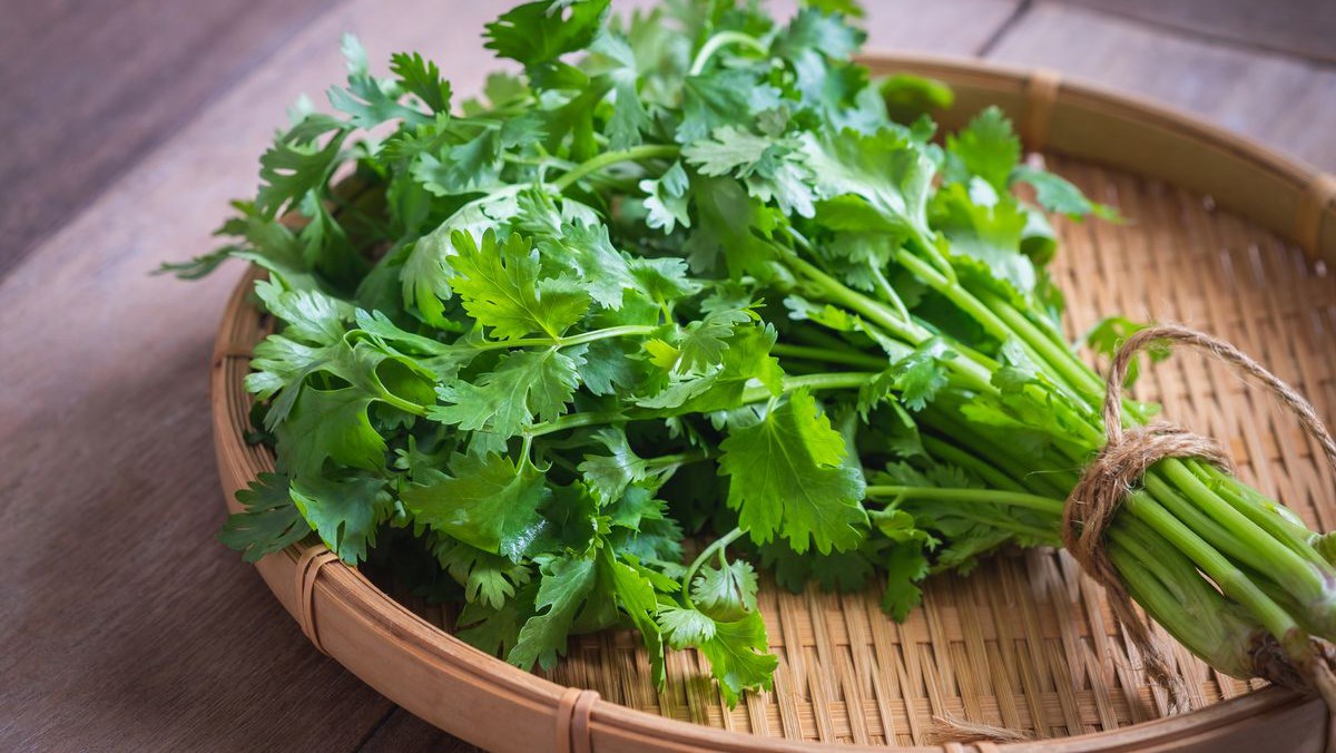Des herbes aromatiques vietnamiennes retirées de la liste de contrôle de l UE