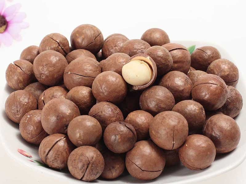 Les noix de macadamia vietnamiennes conquièrent le marché japonais