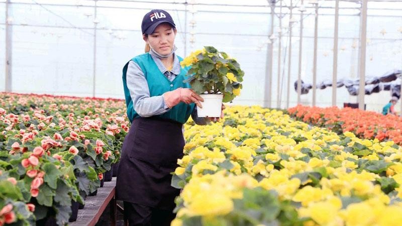 La science et l’innovation contribueront à plus de 50 à la croissance agricole en 2030