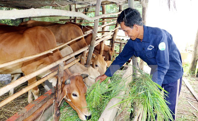 Le Vietnam compte 1 972 767 ménages souffrant de pauvreté multidimensionnelle