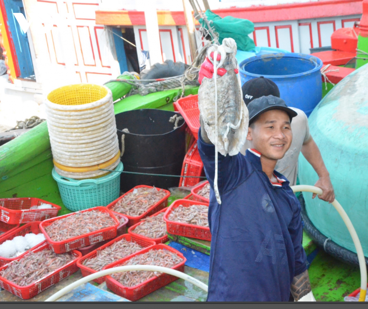 Les pêcheurs hauturiers démarrent l année du Chat en fanfare