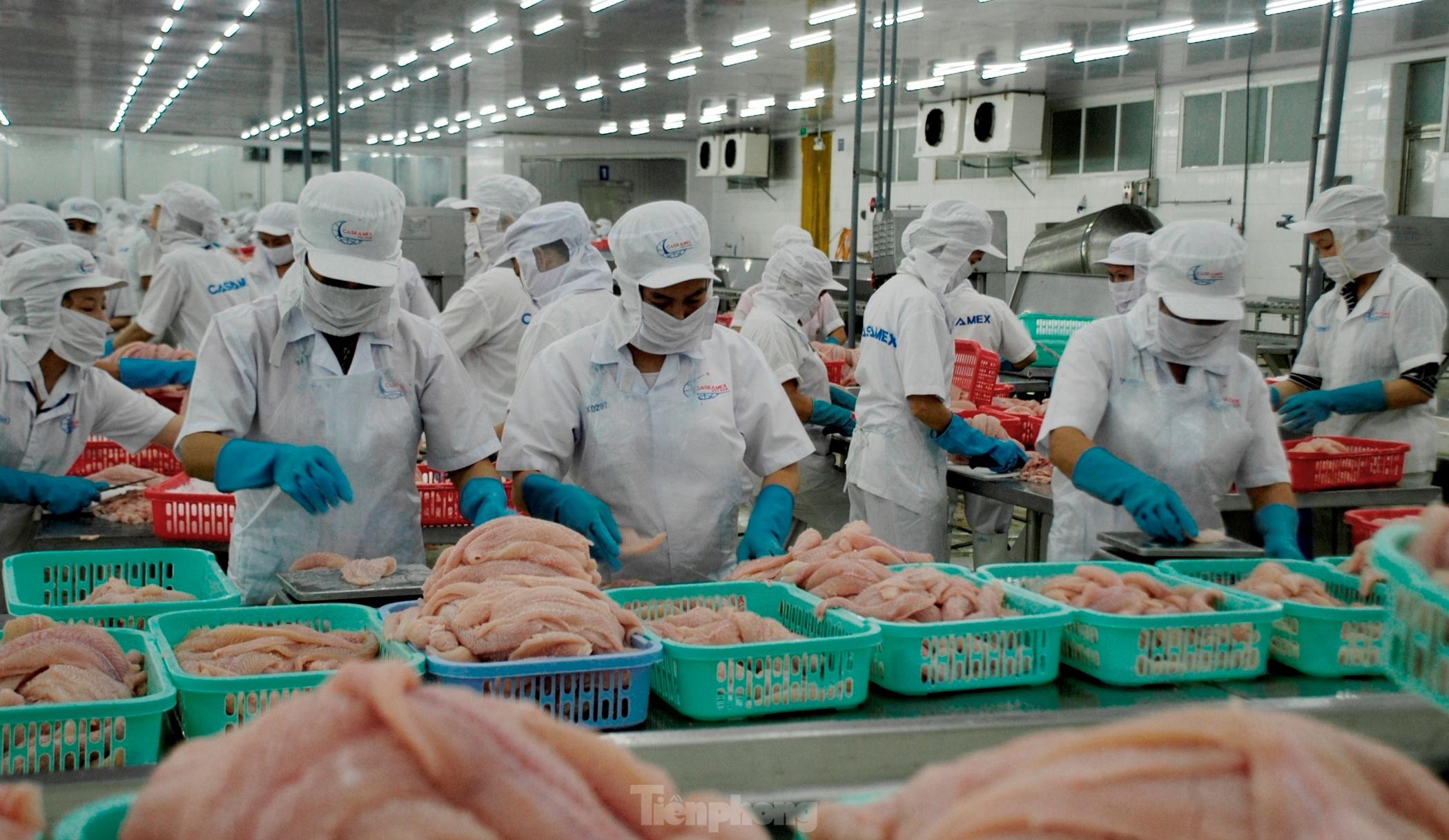 23 entreprises supplémentaires autorisées à exporter des produits aquatiques vers la Chine