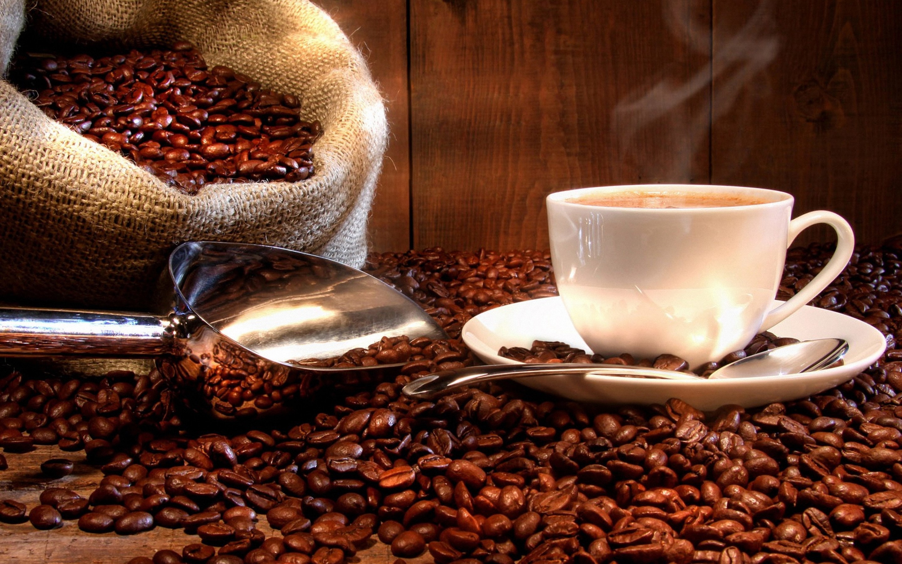 Plusieurs nouveautés du 8e Festival du café de Buôn Ma Thuôt
