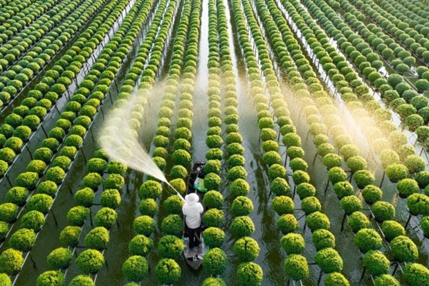 VinaCapital Ventures investit un million de dollars dans la plateforme technologique agricole Koina