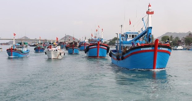 Les pêcheurs de Quang Nam veulent faire retirer le carton jaune sur la pêche INN