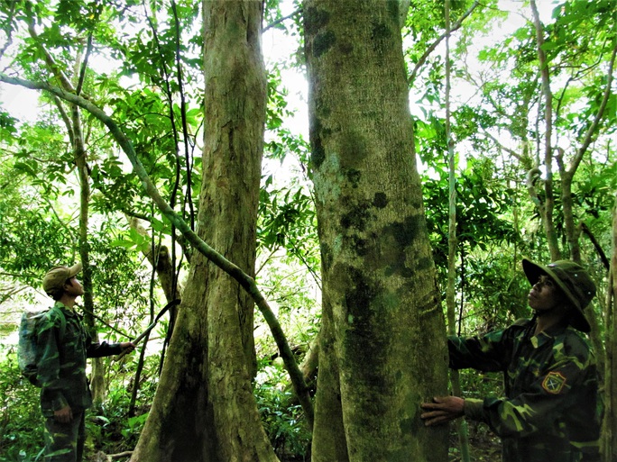 La première forêt communautaire au Vietnam à obtenir un certificat international