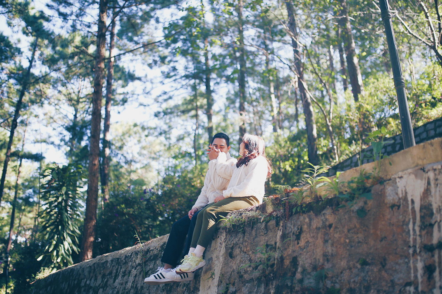 Saint-Valentin Da Lat parmi les destinations à ne pas manquer en Asie