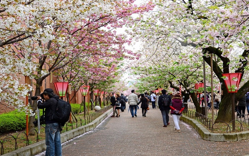 Le Japon veut accueillir 500 000 visiteurs vietnamiens en 2023