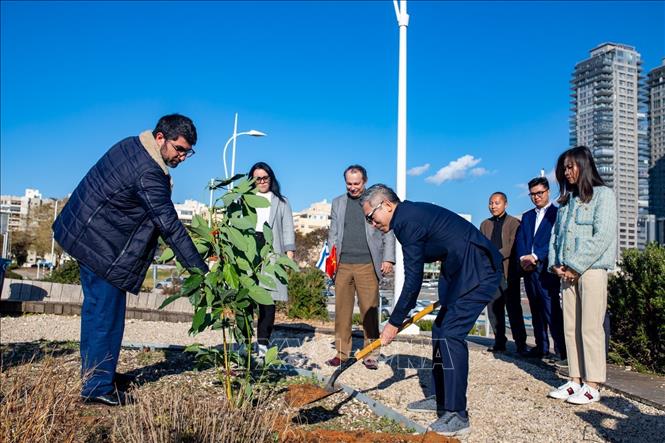 Cérémonie de plantation d arbres pour marquer les 30 ans des relations diplomatiques Vietnam-Israël