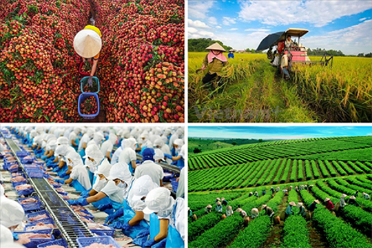 Vietnam  le secteur agricole se fixe l’objectif d’attirer 25 milliards de dollars d IDE d ici 2030