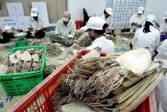 Vietnam les exportations de calmars et de poulpes devraient rapporter 875 millions dollars en 2023