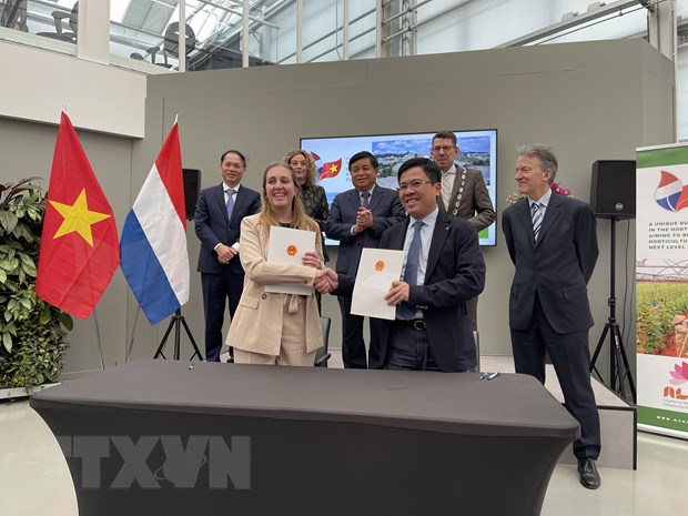 Le Vietnam et les Pays-Bas renforcent leur coopération dans l’agriculture intelligente